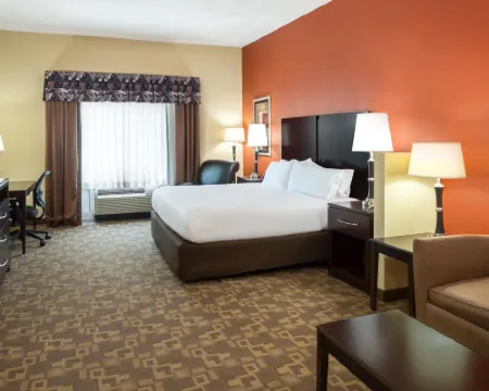 ホリデイ イン エクスプレス & スイーツ レキシントン ダウンタウン エリア-キーンランド by IHG レキシントンのホテル