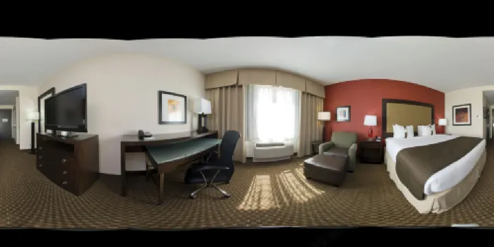 Holiday Inn DFW AIRPORT SOUTH by IHG