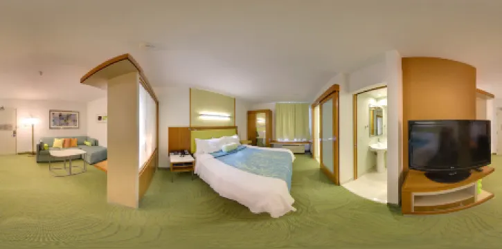 普若佛SpringHill Suites酒店