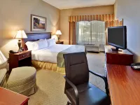 Holiday Inn & Suites Ann Arbor Univ. Michigan Area