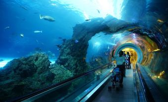 National Museum Marine Biology & Aquarium