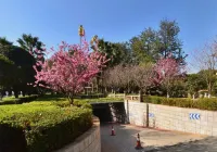 Zhongwei Green Lake Hotel - parking