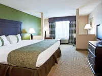 Holiday Inn Toledo-Maumee (I-80/90) Hotels in Maumee