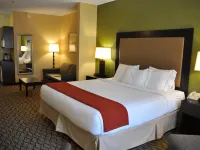 Holiday Inn Express & Suites CHRISTIANSBURG by IHG