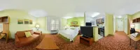 TownePlace Suites Savannah Midtown Hotels near Publix Super Market at Largo Plaza