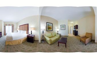 Holiday Inn Express & Suites Dallas East - Fair Park