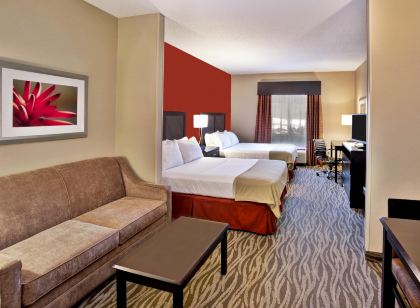 Holiday Inn Express & Suites Grand Rapids-North