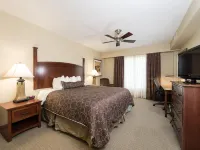 Staybridge Suites 查爾斯頓，阿什利磷酸鹽 - 廚房