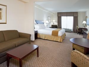 Holiday Inn Express & Suites Rochester Webster