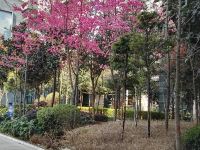 昆明哈喽酒店 - 花园