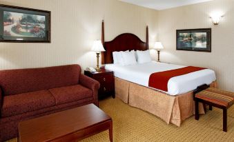 Holiday Inn Express & Suites Kingsport-Meadowview I-26