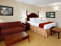 Holiday Inn Express & Suites KINGSPORT-MEADOWVIEW I-26 by IHG Hotels in Sullivan County