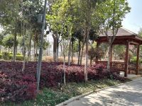昆明哈喽酒店 - 花园