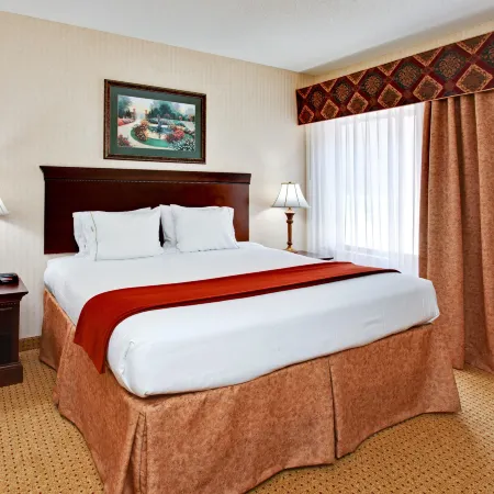 Holiday Inn Express & Suites KINGSPORT-MEADOWVIEW I-26 by IHG