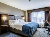 Holiday Inn Express & Suites ST. Louis West-O'Fallon Hotels in Boone Township