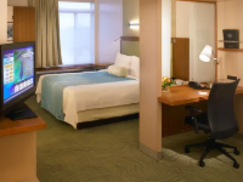 羅穆勒斯底特律都會機場萬豪SpringHill飯店 羅穆勒斯住宿飯店