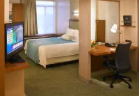 SpringHill Suites Detroit Metro Airport Romulus
