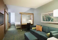 SpringHill Suites Houston Downtown/Convention Center Hôtels à : Comte de Harris