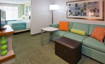 SpringHill Suites Rochester Mayo Clinic Area/Saint Marys