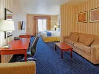 Holiday Inn Express & Suites Lathrop