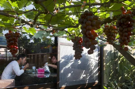 Garden Life Hostel Отели рядом с достопримечательностью «Zhangliancang Saxophone Memorial Hall»