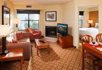 Residence Inn Minneapolis St. Paul/Roseville Hotels in Shoreview