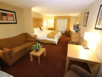 Holiday Inn Express Saltillo Zona Aeropuerto Hotels near Ejército Mexicano Urban Forest (Sector II)