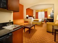 Holiday Inn Express & Suites MOUNT PLEASANT by IHG Hotels in Mount Pleasant