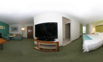 SpringHill Suites Charleston North/Ashley Phosphate