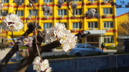 7Days Inn Chain Hotel (Xinzheng Longhu Engineering College) Отели рядом с достопримечательностью «College of Information & Business， Zhongyuan University of Technology»