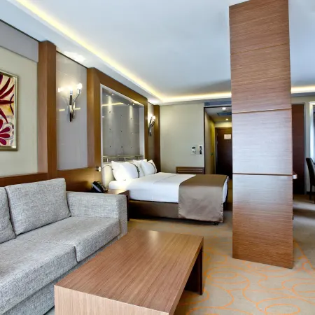 Holiday Inn ANKARA - KAVAKLIDERE by IHG