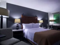 Holiday Inn CIUDAD DE MEXICO-TRADE CENTER by IHG Hotels near Blue Stadium