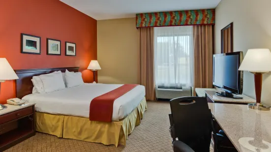 Holiday Inn Express & Suites Tampa Northwest-Oldsmar