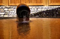 Hongyuan Hotspring Hotel - سبا