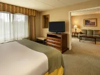 Holiday Inn & Suites Ann Arbor Univ. Michigan Area