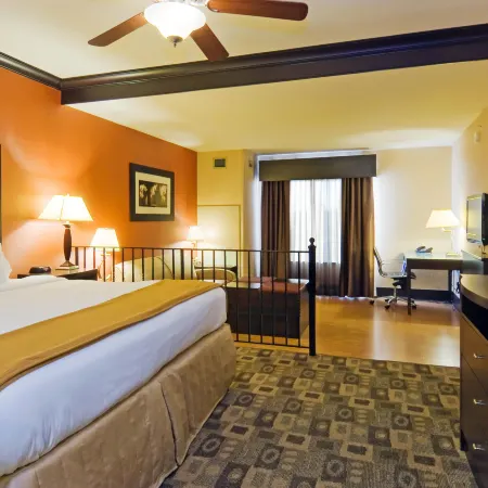 Holiday Inn Express & Suites COLUMBIA-FORT JACKSON by IHG