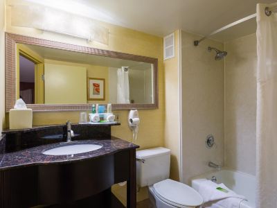 スタンダードルーム ホリデイ・イン エクスプレス ワシントンDC イースト - アンドリューズ AFBの写真