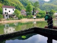 莫干山竹漫山居 - 酒店景观