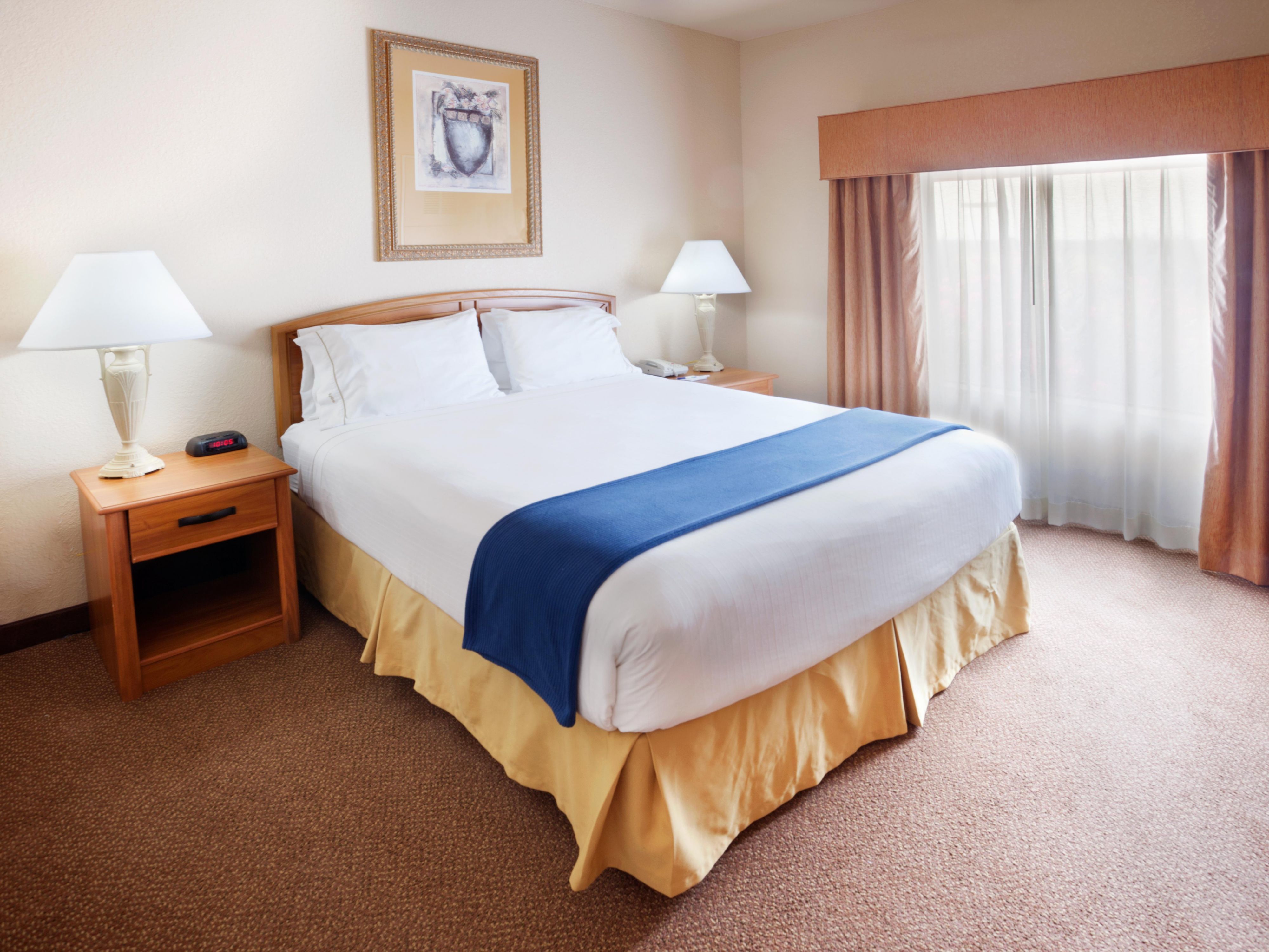 Holiday Inn Express Hotel & Suites Mission-McAllen Area, an Ihg Hotel