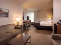 Holiday Inn Express & Suites New Orleans Airport South Hotels in 