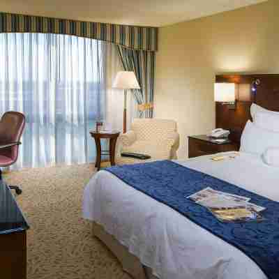 Houston Marriott South at Hobby Airport Rooms