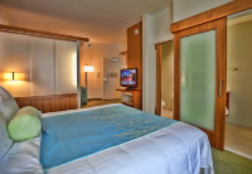 SpringHill Suites Tampa North/I-75 Tampa Palms