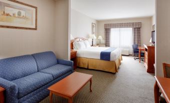 Holiday Inn Express & Suites Rochester-Victor