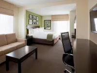 Holiday Inn Express & Suites ROGERS by IHG - Wifi