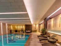上海金桥红枫万豪酒店 - 室内游泳池