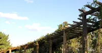 Dongshan Guesthouse