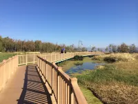 Dali knot, seaview Inn （erhai lake ecological corridor, entrance）