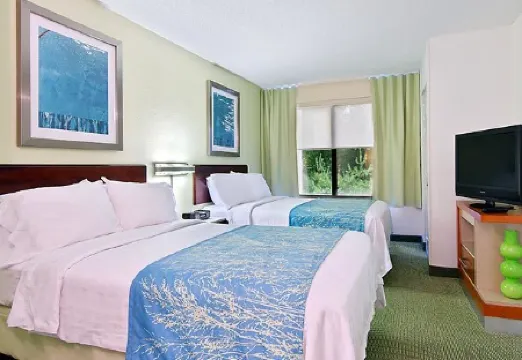 SpringHill Suites Asheville