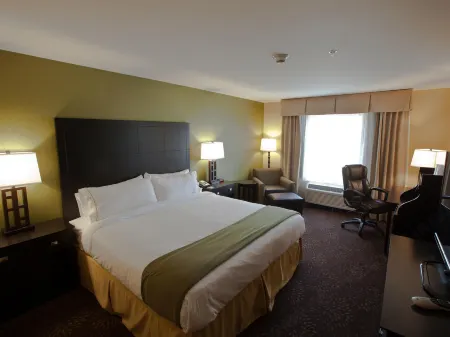 Holiday Inn Express & Suites Detroit North - Troy