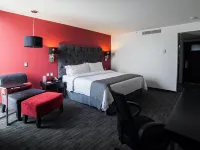 Holiday Inn Express Toluca Galerias Metepec Hotels in Метепек